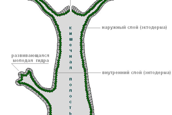 Кракен даркнет тг