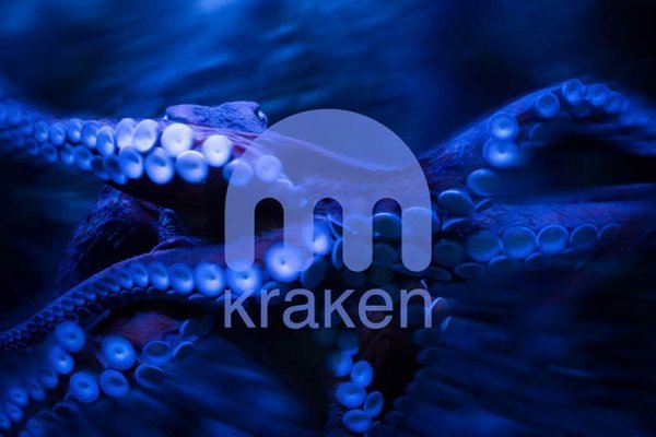 Kraken площадка