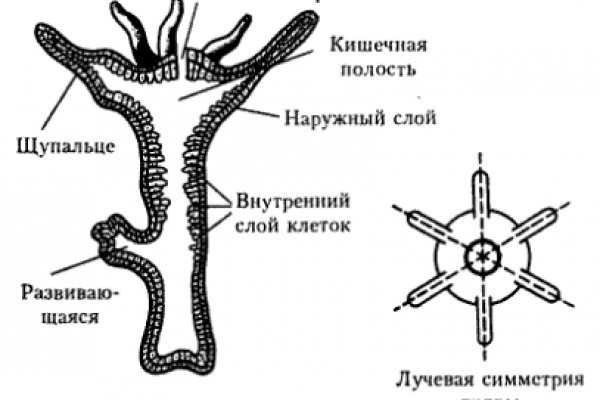 Где найти ссылку кракен